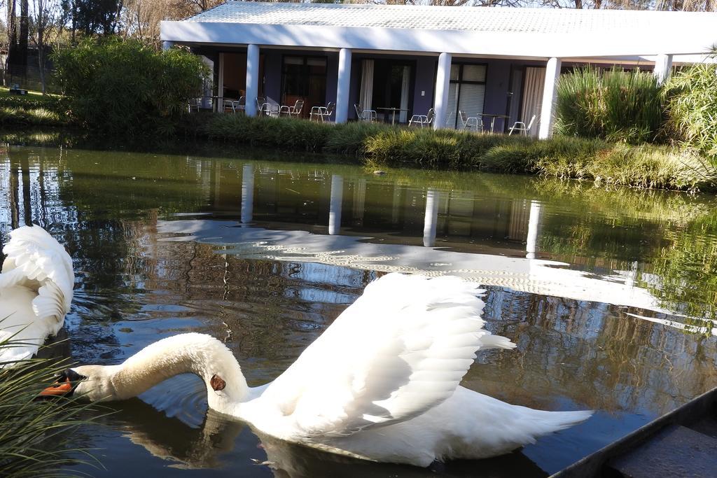 Willow Place Guest House Midrand Zewnętrze zdjęcie